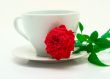 Mug and a scarlet rose