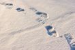 Footprints