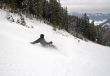 Skier