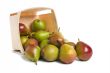 Seckel Pears from Basket