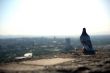 alone bird view