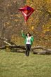 fly a kite
