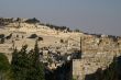 Olive mount in Jerusalem