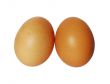 Two eggs isolated