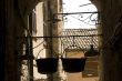 Spello - Two hanged pots