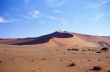 Desert