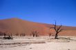 Sand desert