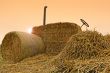 Tractor from bales of straw