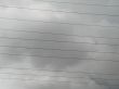 electric wires