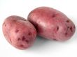 potato