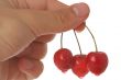 Wet cherry on hand