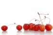 Wet cherry