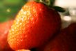 Organic Strawberries