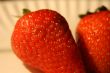 Organic Strawberries