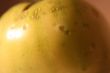 Organic Tomatoes