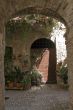 Spello - Typical house with potted plants and flowers