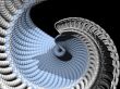 abstract