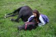 horse laid down and teen