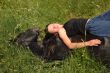 horse laid down and teen