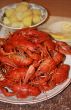 Fresh crawfish with garnish
