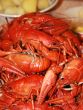fresh boiled crawfish