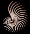 spiral