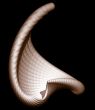 abstract shell
