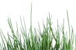 green grass