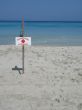 lifeguard sign