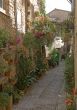 Spello - Typical alley with potted plants and flowers