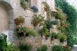 Spello - Potted plants and flowers hanged to an old house