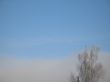 frosted tree and blue sky