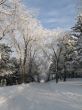 cemetery road covered with snow