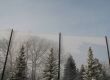 winter forest behind an fence