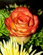 Bouquet with red rose
