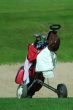golf trolley