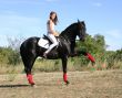 dressage