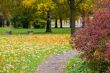 Autumn park
