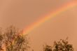 morning rainbow