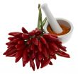 Chili pepper with chili pepper powder