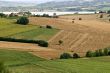 Landscape in Tuscany at summer