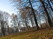 Autumn outdoor landscape