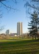 City view from the park