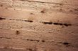 Texture