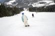 Skier