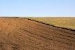 Field