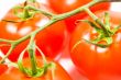 fresh tomatoes