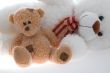 Two teddy bear
