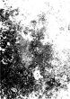 abstract texture