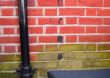 two tone brick wall